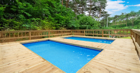 소나무힐링 펜션