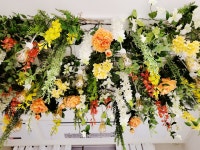 티앤티파티스튜디오