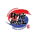 용인대타이곤태권도장