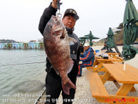 대부도바다낚시터