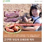 광포만농원