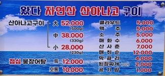 왔다산아나고구이