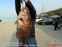 대부도바다낚시터
