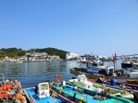 삼색식당 기장 본점
