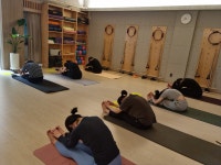 정원요가테라피