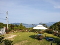 소호물꽃호스텔