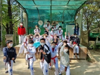 용인대청룡태권도