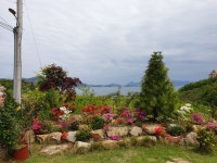 소호물꽃호스텔