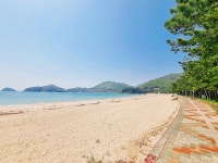 올레펜션