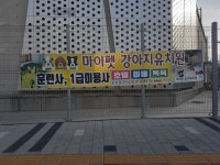 마이펫강아지애견유치원호텔미용