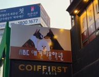 ABC애견미용학원