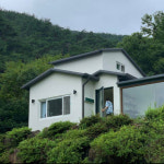 품안의숲