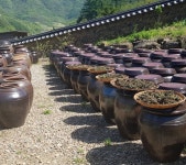 고운산나물