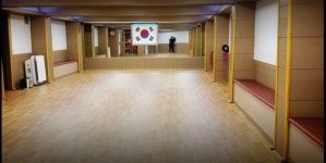 이수태권도
