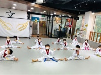마스터홍태권도