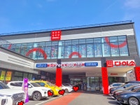 펫클럽 강릉내곡점