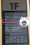 다인향스킨테라피