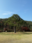 서산강보살