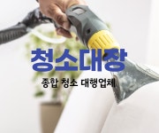 청소대장