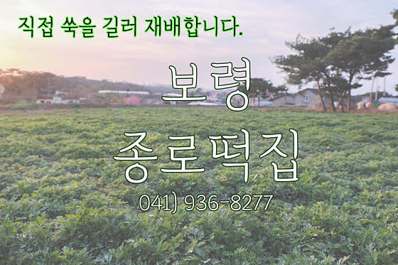 종로떡집 사진