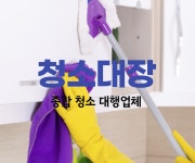 청소대장