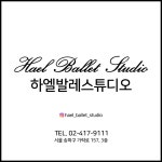 하엘발레스튜디오