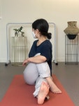 잔치인포레스트