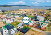 시울파인아트 | 파인아트
