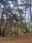 만복골민박