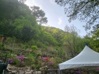 소백산깊은산속옹달샘펜션