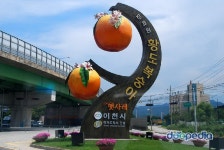 장호원복숭아농장여름애팜