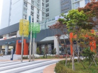 유수정행정사