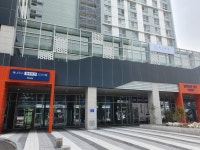 유수정행정사