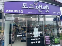 도그앤캣