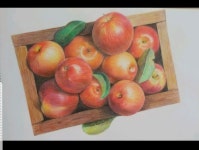 정은미술교습소