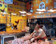 싱싱닭집