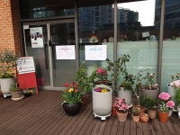 코리아몬테소리연구소