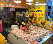싱싱닭집