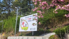 쌀밥지정업소 홀인원쌈밥집