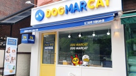 도그마캣 의왕내손점