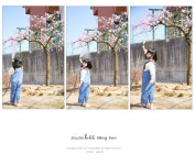 이상순사진관