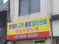 성일부분도색