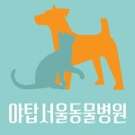 야탑서울동물병원
