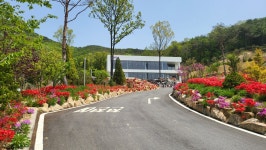 배방관광농원캠핑