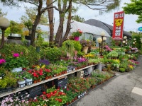 화신꽃식물원