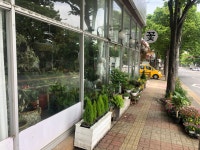 행운화원