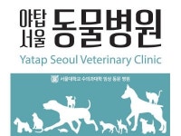 야탑서울동물병원