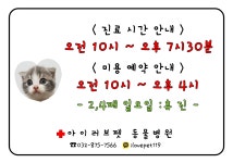 아이러브펫  동물병원