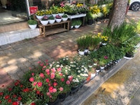 행운화원