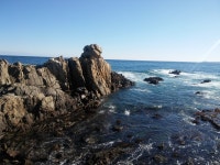 속초부영공인중개사사무소